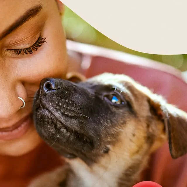 Participe da Feira de Adoção Pet no dia 23 de maio, das 10h às 17h, e encontre um novo amigo para sua vida!