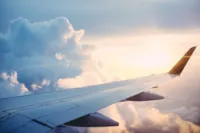 Transporte Aéreo de Pets no Brasil: Guia Completo