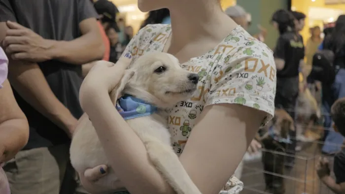 Participe da 4ª Feira de Adoção da ONG Peludinhos em Porto Velho nos dias 6 e 7 de junho. Encontre um amigo de quatro patas e transforme uma vida.