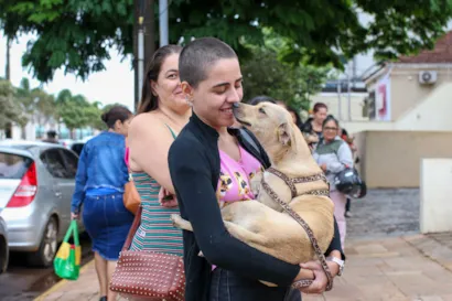 Feiras de Adoção em Campo Grande: 66 Animais Aguardam um Lar!