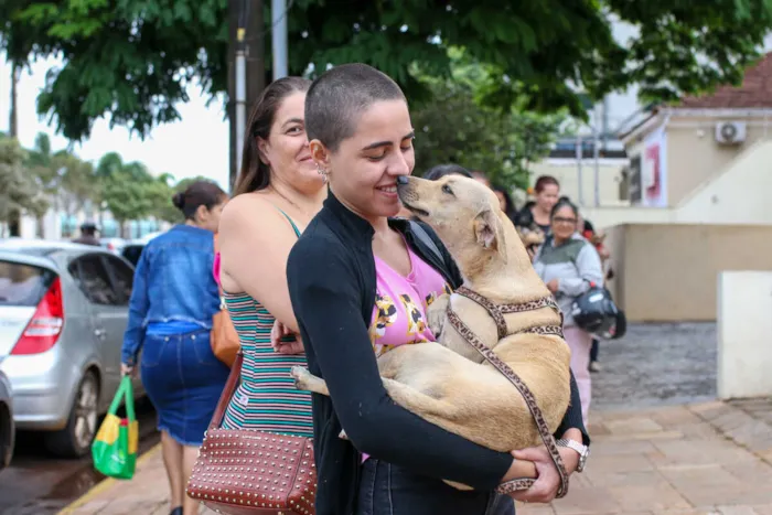 Duas feiras de adoção em Campo Grande neste fim de semana oferecem 66 cães e gatos vermifugados e avaliados para adoção. Saiba os detalhes!