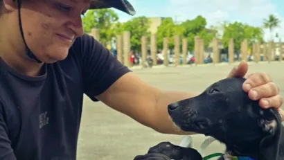 Feira de Adoção de Cães e Gatos em Guarujá - Adote um Novo Amigo!