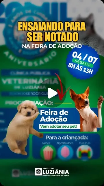 Feira de Adoção - Clínica Veterinária Pública de Luziânia