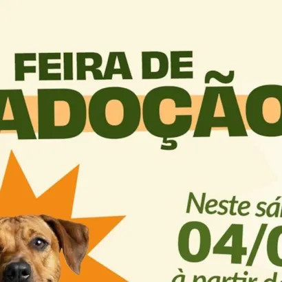 Feira de Adoção de Animais