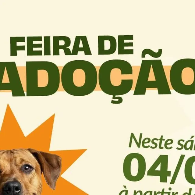 Participe da Feira de Adoção neste sábado, 04/07, conheça cães e gatos à procura de um lar cheio de amor.