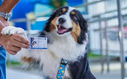 Campanhas de Adoção de Animais em Julho no Piauí