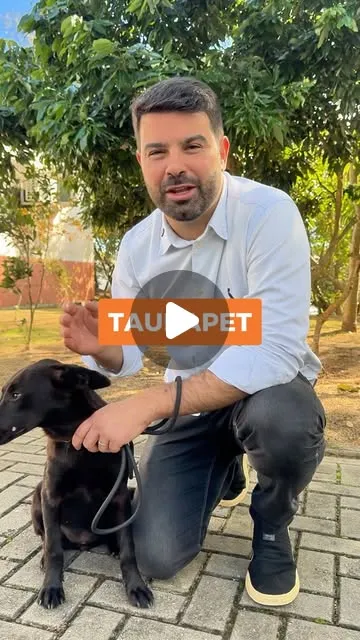 Adote Responsavelmente com TaubaPet
