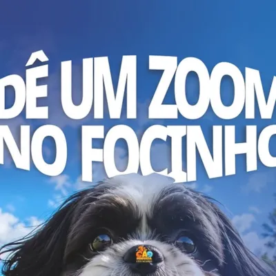 3ª Cãominhada em Bom Despacho