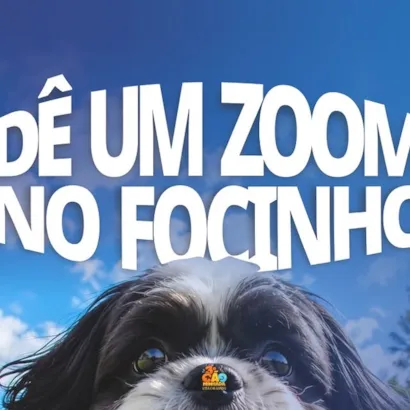 3ª Cãominhada em Bom Despacho