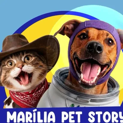 Feirinha de Adoção - Marília Pet Story