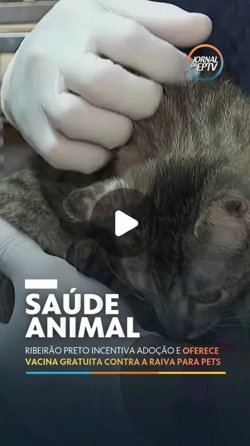 Julho Dourado - Conscientização e Adoção de Animais
