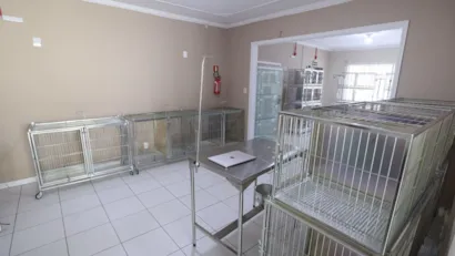 Centro de Bem-Estar Animal de Joinville: Novas Iniciativas e Feiras de Adoção