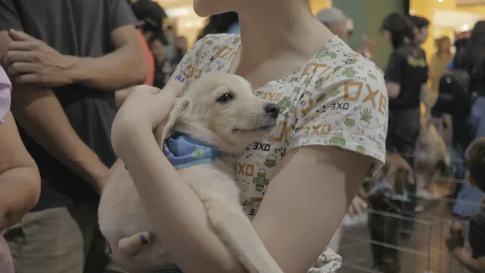 5ª Feira de Adoção da ONG Peludinhos em Porto Velho nos dias 1º e 2 de agosto. Encontre seu novo companheiro e ajude animais resgatados.