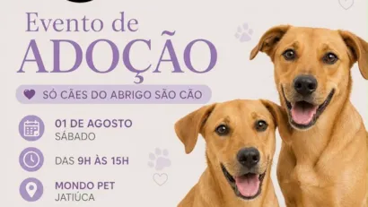 Feira de Adoção de Cães do Abrigo São Cão