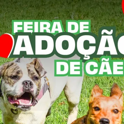 Feira de Adoção de Animais em Teresópolis