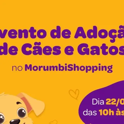 Evento de Adoção de Cães e Gatos no MorumbiShopping