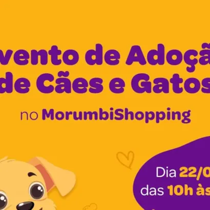 Evento de adoção gratuita de cães e gatos castrados, vacinados e microchipados acontece em 22 de agosto no MorumbiShopping.