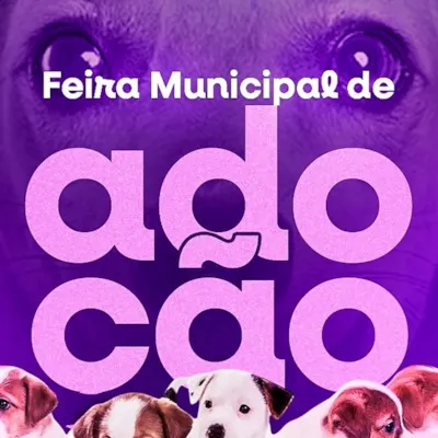 Feira Municipal de Adoção de Alegre