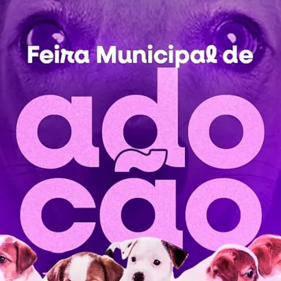 Feira Municipal de Adoção de Alegre