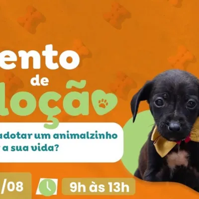 Evento de Adoção de Animais em Mariana