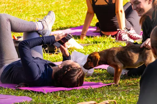 YogaPet reúne 26 cães para adoção responsável em Santa Maria, com yoga, mateada, música ao vivo e atividades em prol da causa animal.