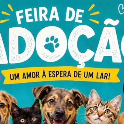 Feira de Adoção no Memorial da América Latina