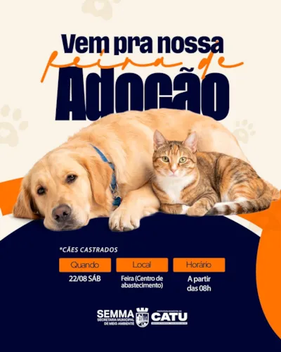 Catu realiza ação de adoção de cães castrados neste sábado