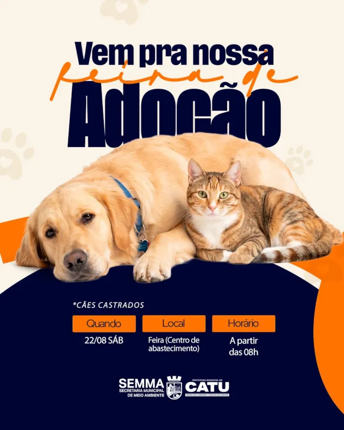 Participe da feira de adoção de cães castrados em Catu neste sábado, 22 de agosto, a partir das 8h na Feira de Abastecimento.