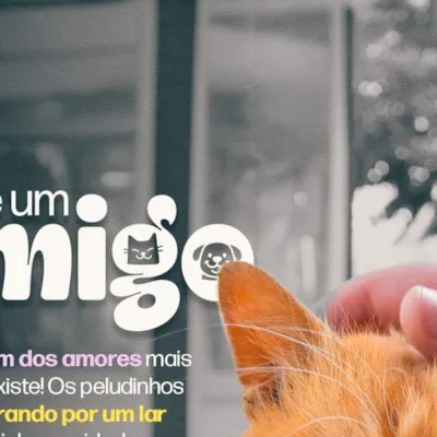 Feira de adoção “Adote um Amigo” em Saquarema