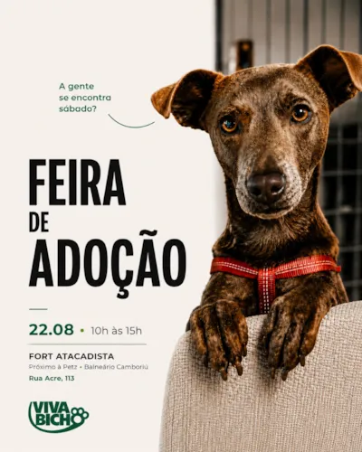 Feira de Adoção da Viva Bicho no Fort Atacadista em Balneário Camboriú