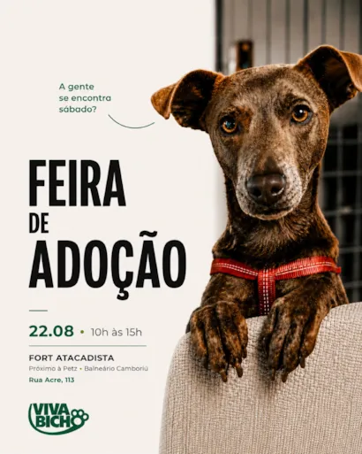 Feira de adoção da Viva Bicho acontece em 22 de agosto, no Fort Atacadista de Balneário Camboriú, das 10h às 15h.