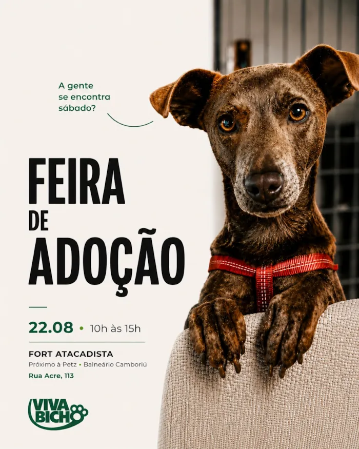 Feira de adoção da Viva Bicho acontece em 22 de agosto, no Fort Atacadista de Balneário Camboriú, das 10h às 15h.