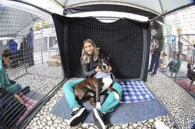 Domingo no Centro – Edição Pet com feira Amigo Bicho em Curitiba