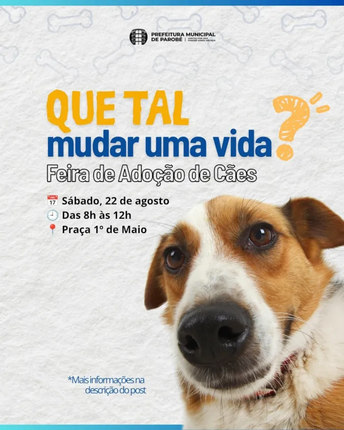Feira de adoção de cães acontece em 22 de agosto de 2026, na Praça 1º de Maio, em Parobé (RS), das 8h às 12h.