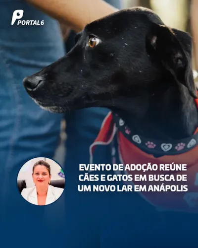 Evento de adoção de cães e gatos no Brasil Park Shopping, em Anápolis