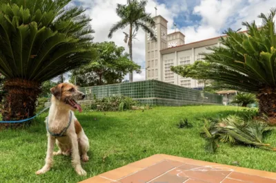Feira de Adoção Animal no Parque Tia Nair, em Cuiabá