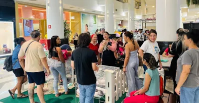 Adote Um Amigo reúne cães e gatos para adoção no Shopping Aldeota, em Fortaleza