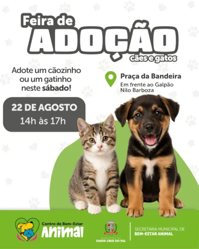 Feira de adoção em Santa Cruz do Sul: cães e gatos