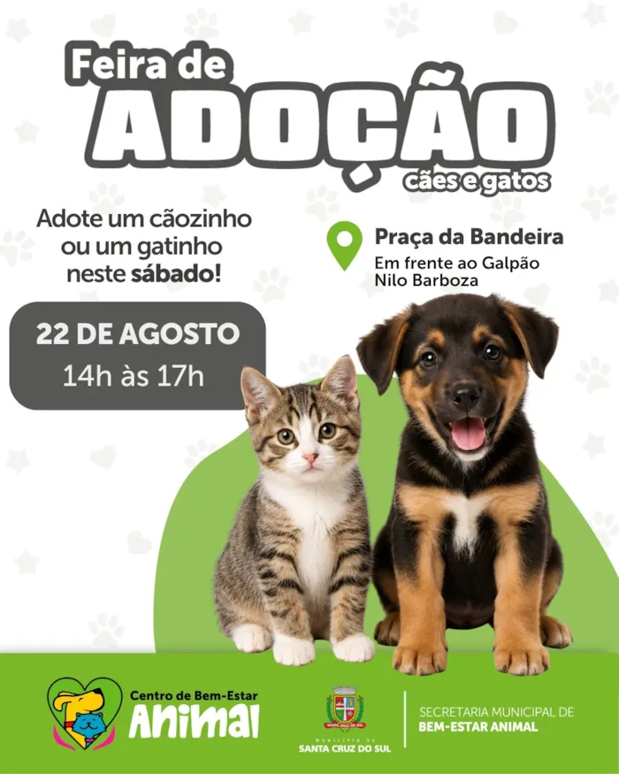 Feira de adoção em Santa Cruz do Sul ocorre em 22 de agosto, das 14h às 17h, com cães e gatos vacinados à espera de um lar.