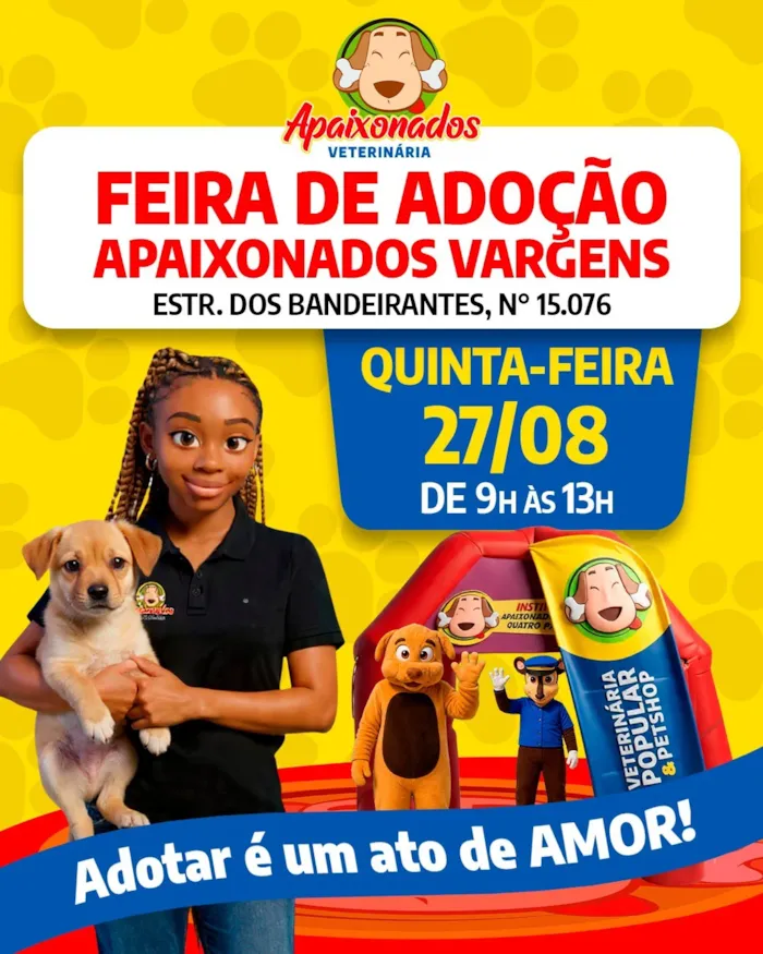 Feira de adoção no Rio de Janeiro ocorre em 27 de agosto, das 9h às 13h, com cães e gatos à espera de uma família responsável.