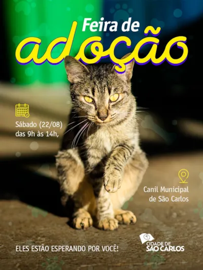 Feira de adoção em São Carlos: cães e gatos