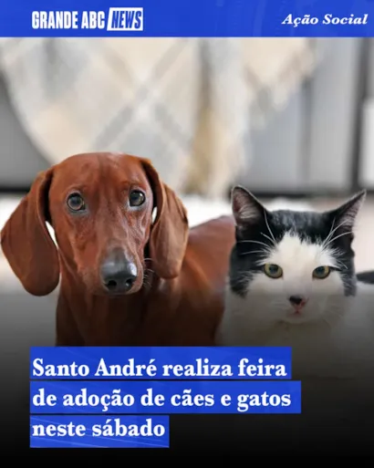 Feira de adocao de caes e gatos em Santo Andre