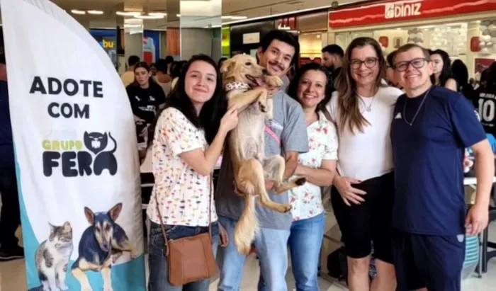Feira de adoção em Mogi das Cruzes ocorre em 22 de agosto, das 12h às 17h, com cães e gatos vacinados à espera de uma família.