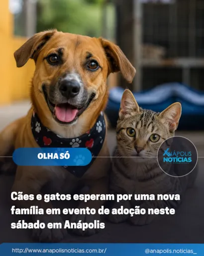 Feira de adocao de caes e gatos em Anapolis