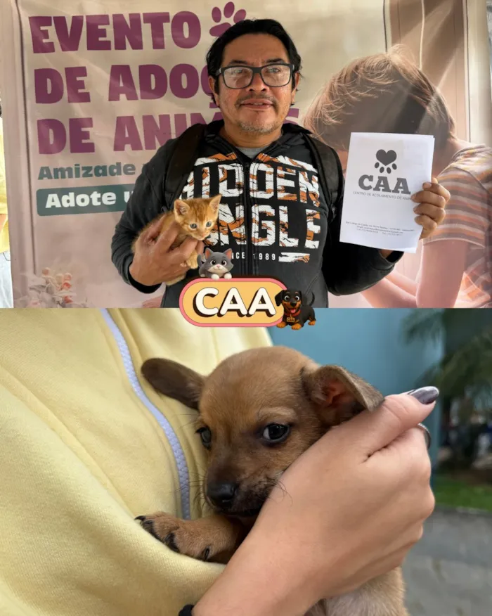 Feira de adoção de animais em Mariana nesta sexta-feira, 21 de agosto, das 09h às 13h, no Centro de Convenções. Adote um novo amigo e mude uma vida.