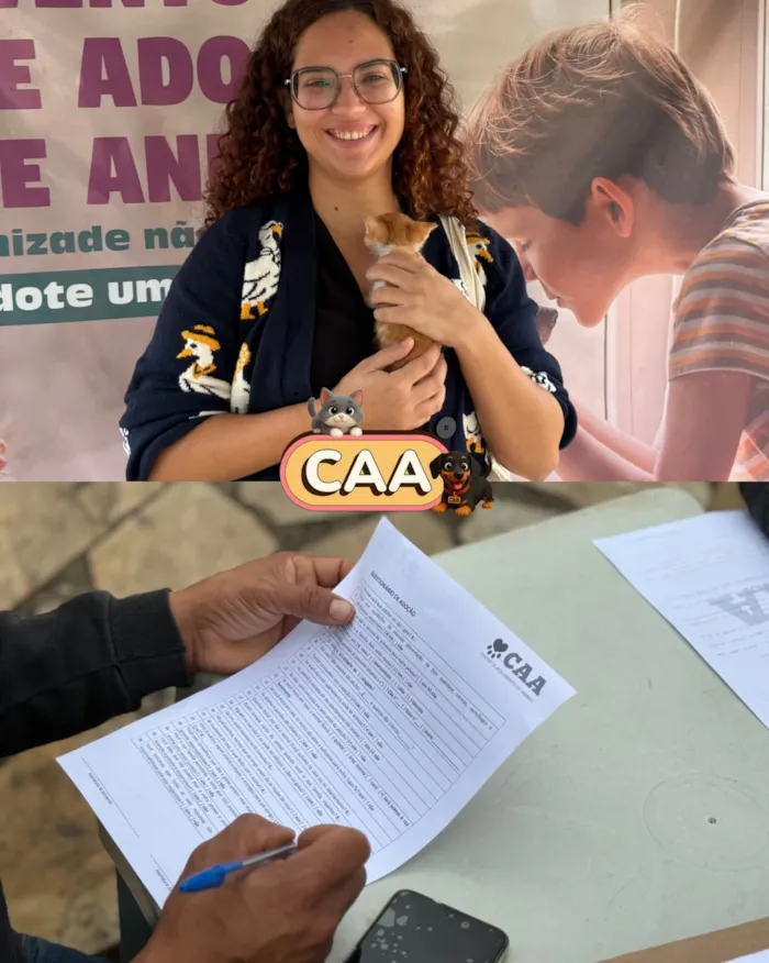 Feira de adoção de animais em Mariana nesta sexta-feira - imagem 3
