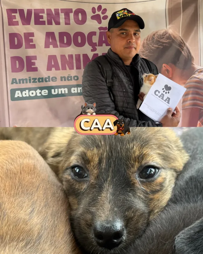 Feira de adoção de animais em Mariana nesta sexta-feira - imagem 4