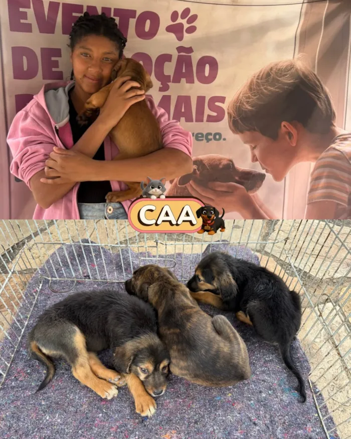 Feira de adoção de animais em Mariana nesta sexta-feira - imagem 9
