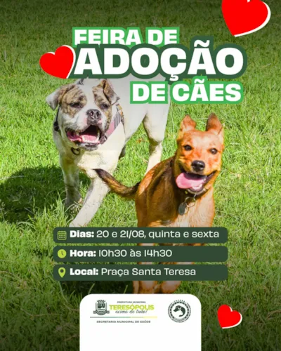 Feira de Adoção de Cães em Teresópolis | 20 e 21/08