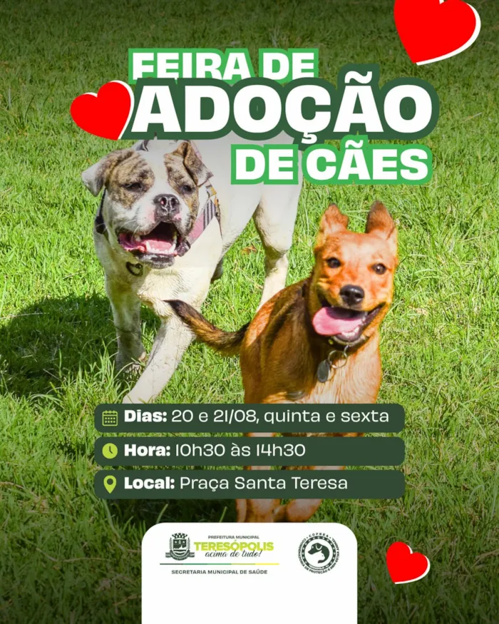 Feira de Adoção de Cães em Teresópolis nos dias 20 e 21 de agosto de 2026, das 10h30 às 14h30, na Praça Santa Teresa. Adote um amigo com responsabilidade!